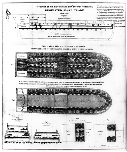 1788년 일반적인 영국 노예무역선의 선실 구조. 잡혀온 흑인들이 3단 높이 선반에 층층이 누운 자세로 수용되어 있는 모습을 보여준다. 흑인들은 이런 상태로 아프리카에서 유럽이나 아메리카까지 ‘운송’되어 노예시장에 공급되었다.