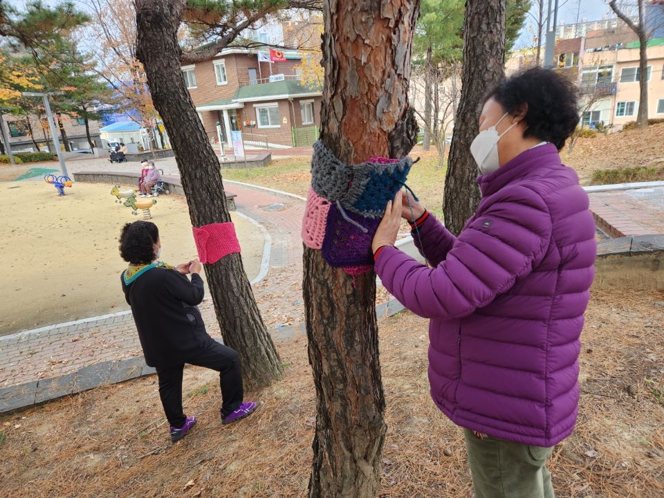 대전 대덕구의 '선배시민 자원봉사단'이 뜨개질로 만든 겨울나무 보호를 위한 소품을 나무에 부착하고 있다/사진= 대전 대덕구 제공