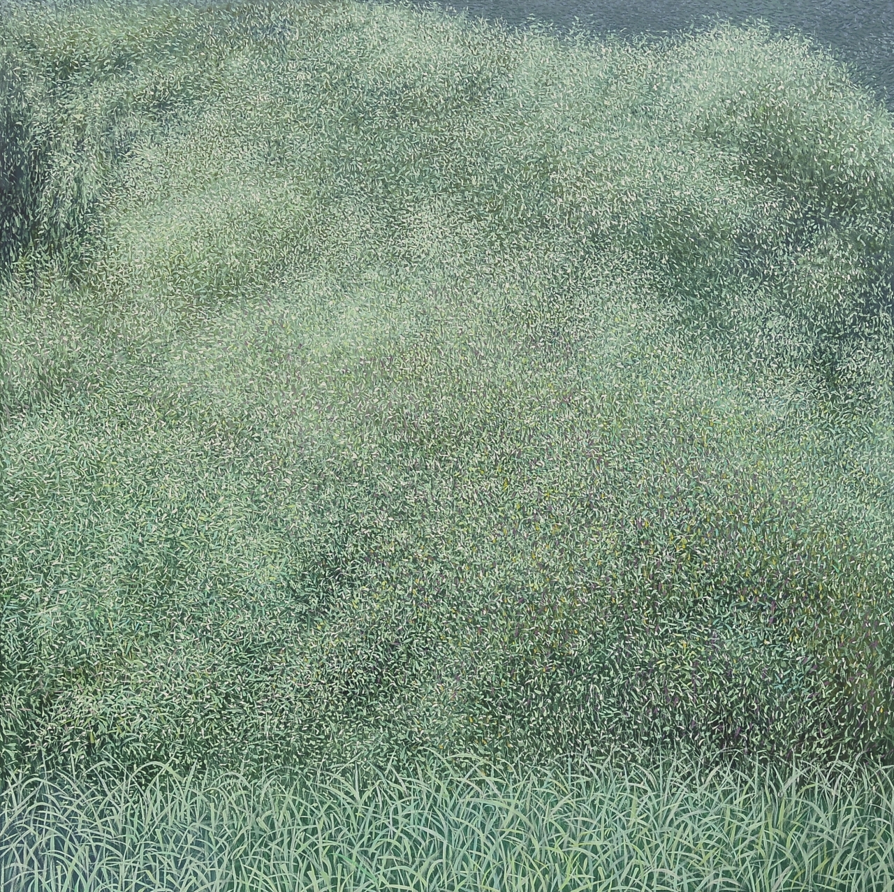 김재현, 숲인상, 2019, oil on canvas, 130.3×130.3cm