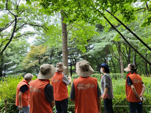 참여자들이 남산야외식물원 나무 설명을 듣고 있다. 사진=서울시 제공