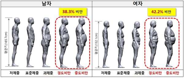 고령층의 비만도에 따른 인체형상 모델. 그래픽=국가기술표준원 제공