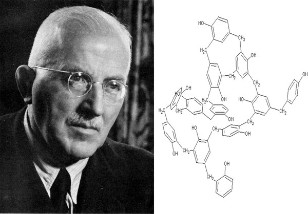 1922년 독일 화학자 헤르만 슈타우딩거 교수(왼쪽)는 플라스틱이 고분자화합물질이라는 그동안의 추측을, 분자식을 써서 증명했다. 이후 고분자화합물질인 플라스틱과 나일론 연구는 급물살을 타고 발전하게 된다. 공개도메인