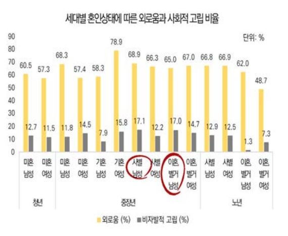 혼인상태별, 소득수준별 외로움과 사회적 고립비율. 자료=서울연구원 제공