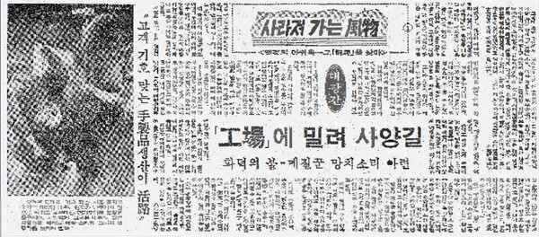 1980년대 서을의 대장간 현활에 대한 신문기사. 사진=서울역사박물관 제공