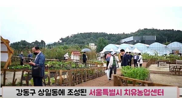 서울시농업기술센터 유튜브 영상